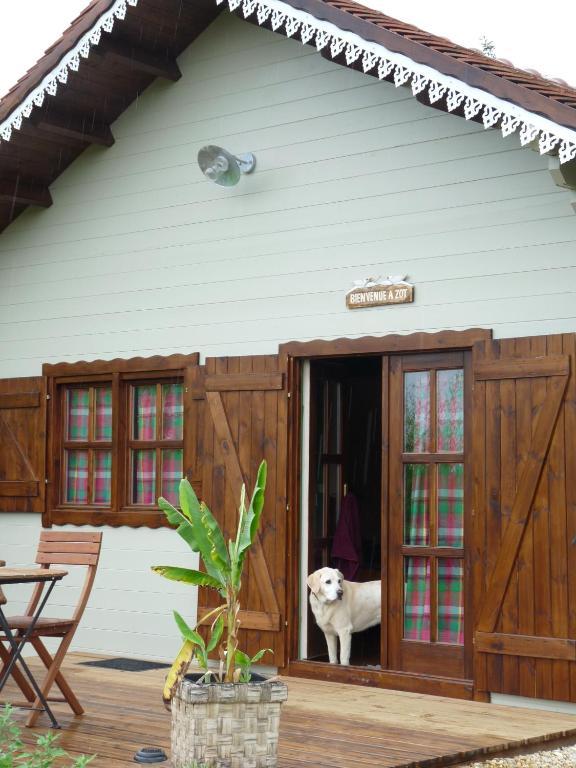 Le Trot'In Chair Bed and Breakfast Martigny-le-Comte Habitación foto