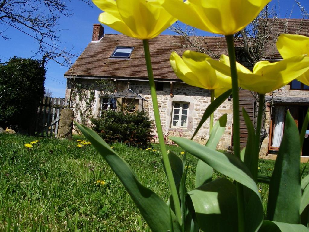 Le Trot'In Chair Bed and Breakfast Martigny-le-Comte Exterior foto