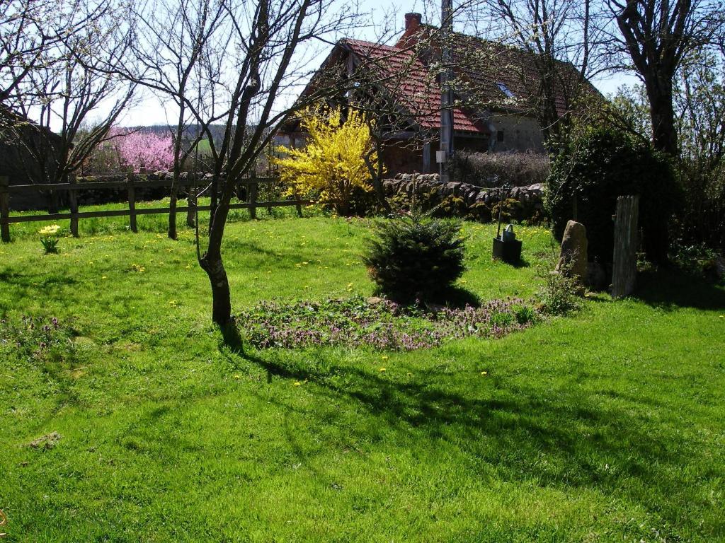 Le Trot'In Chair Bed and Breakfast Martigny-le-Comte Exterior foto