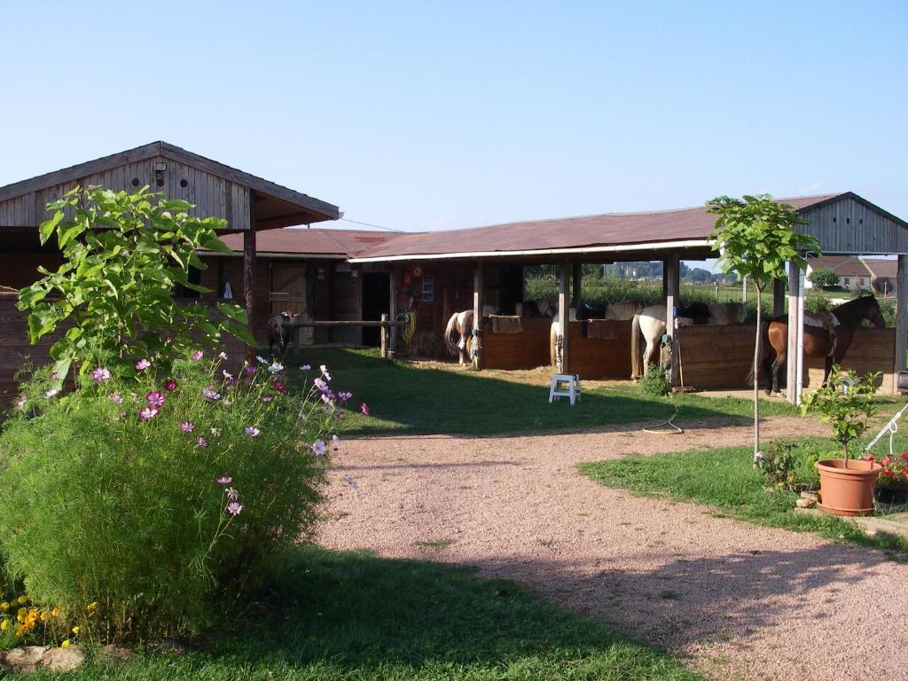 Le Trot'In Chair Bed and Breakfast Martigny-le-Comte Exterior foto